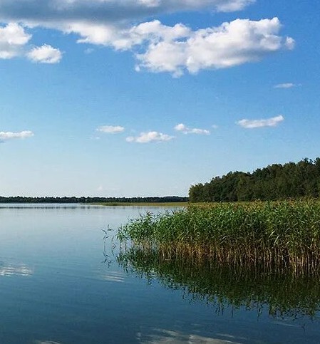 Озеро-субъект #озеро #субъект #Беларусь