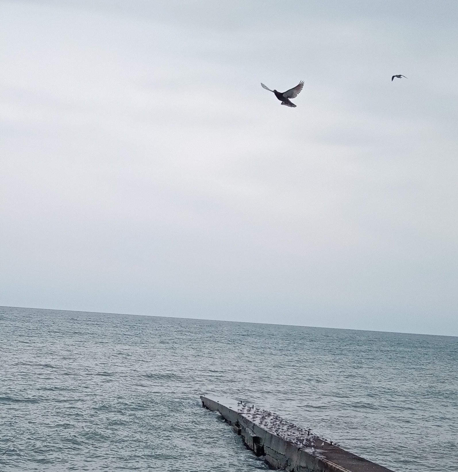 Моря России #море #Россия