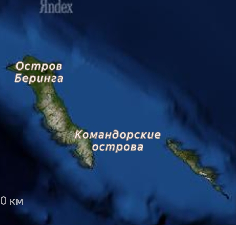 Остров в океане #остров 