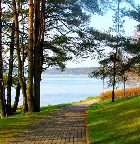 Озёра Беларуси #Беларусь #озеро