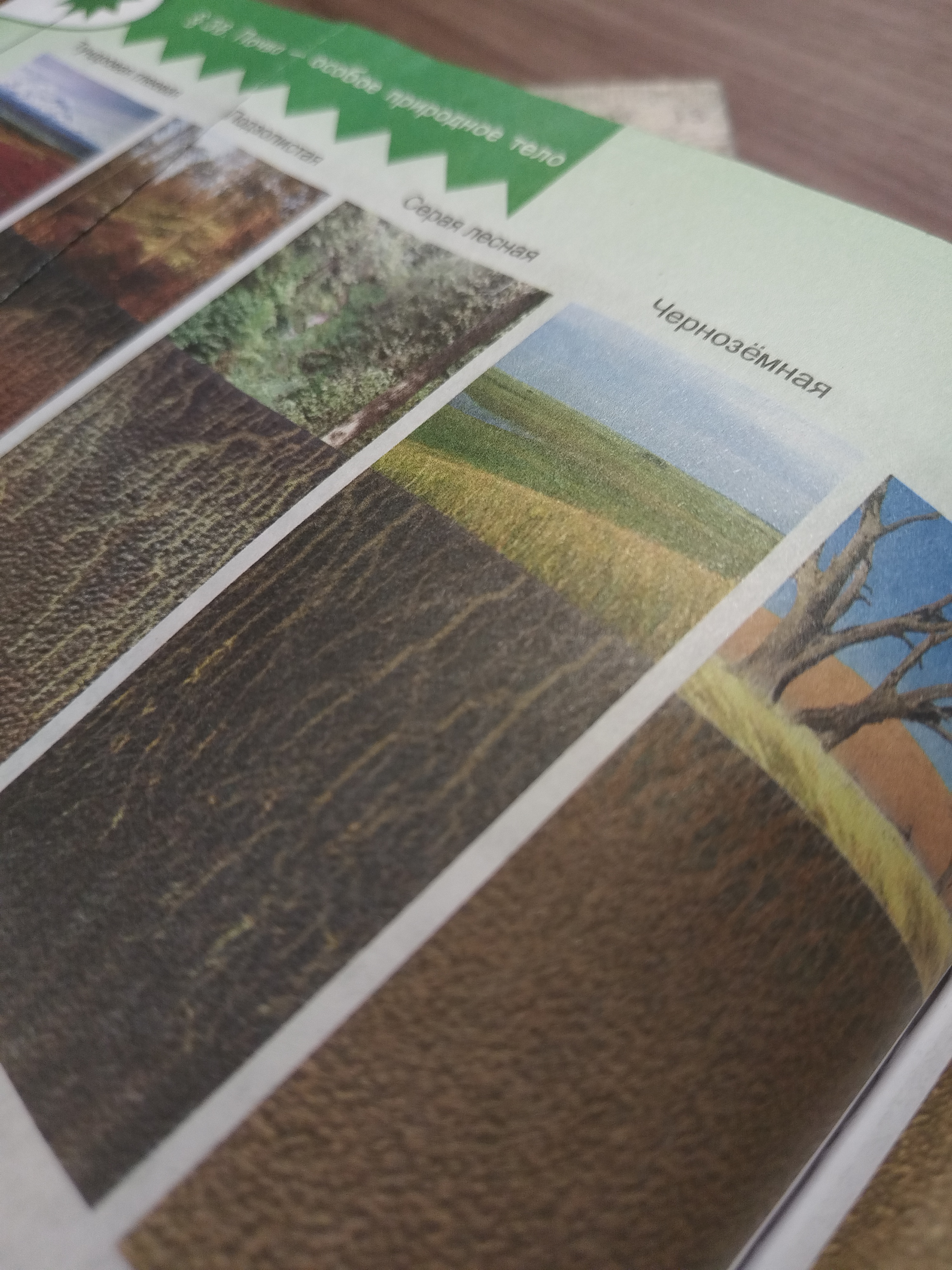 Почвы 2 #география #урок #термин