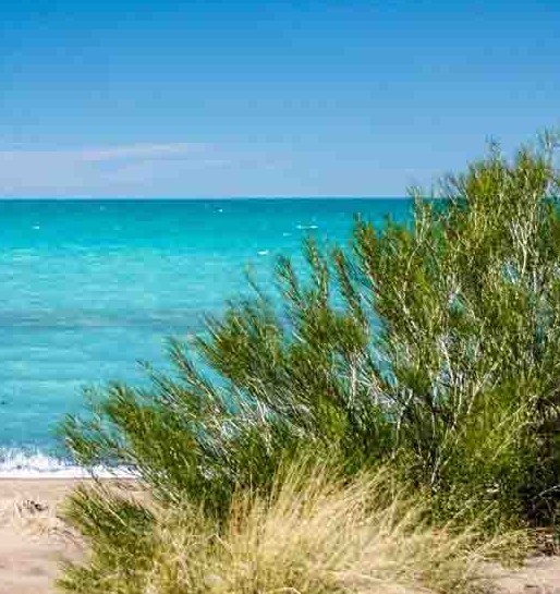 Озеро Балхаш #озеро #карта #Казахстан