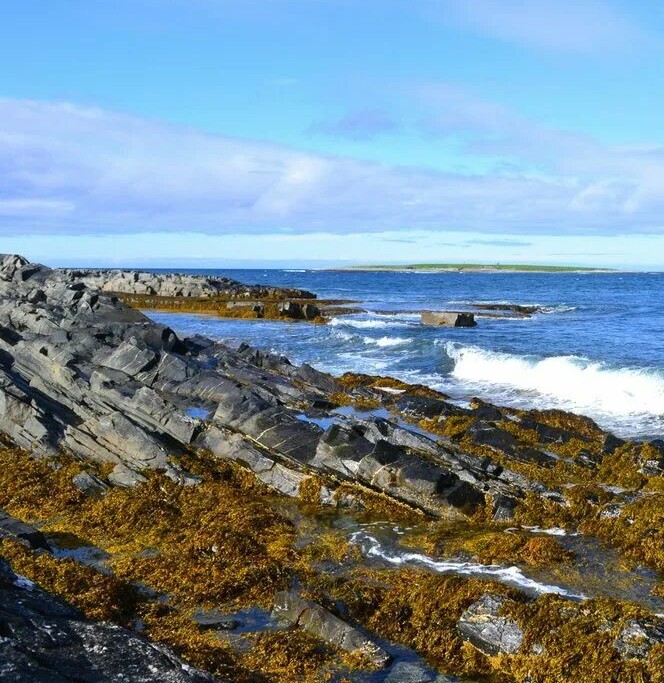 Моря России по признакам #Россия #море