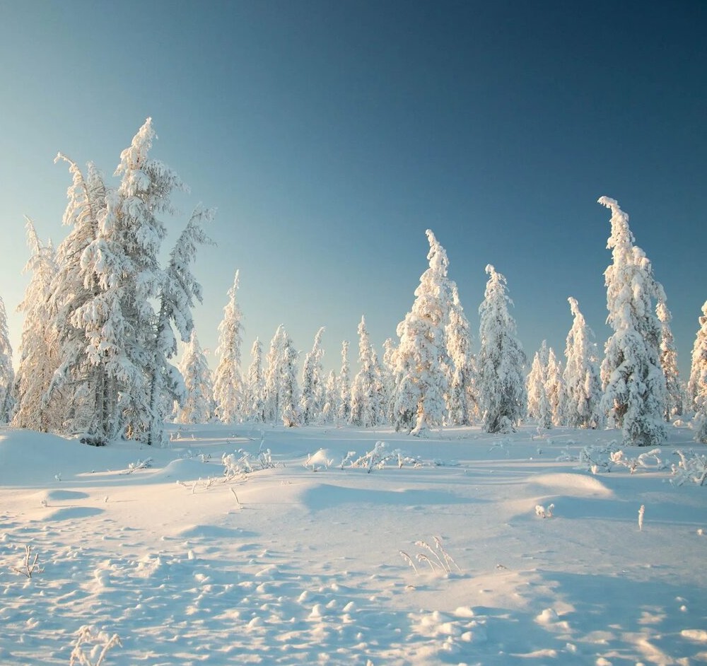 Якутские слова #слова #Якутия #субъект