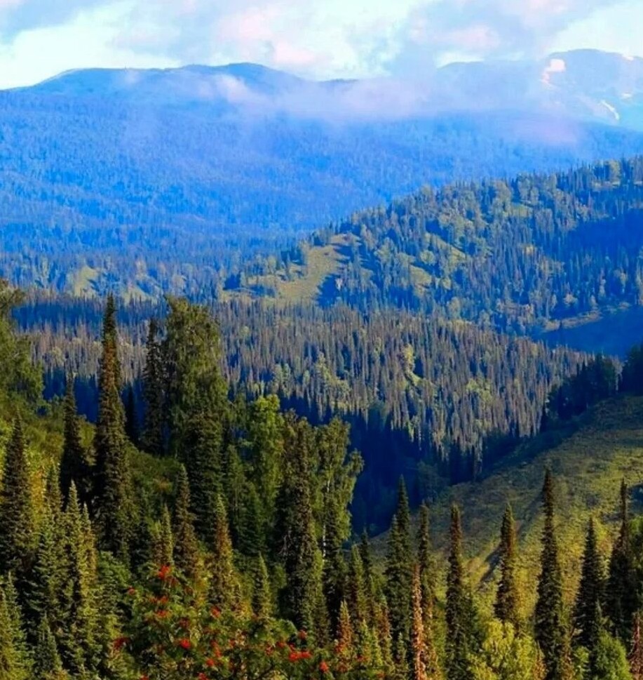 Крупнейшее из всех #площадь