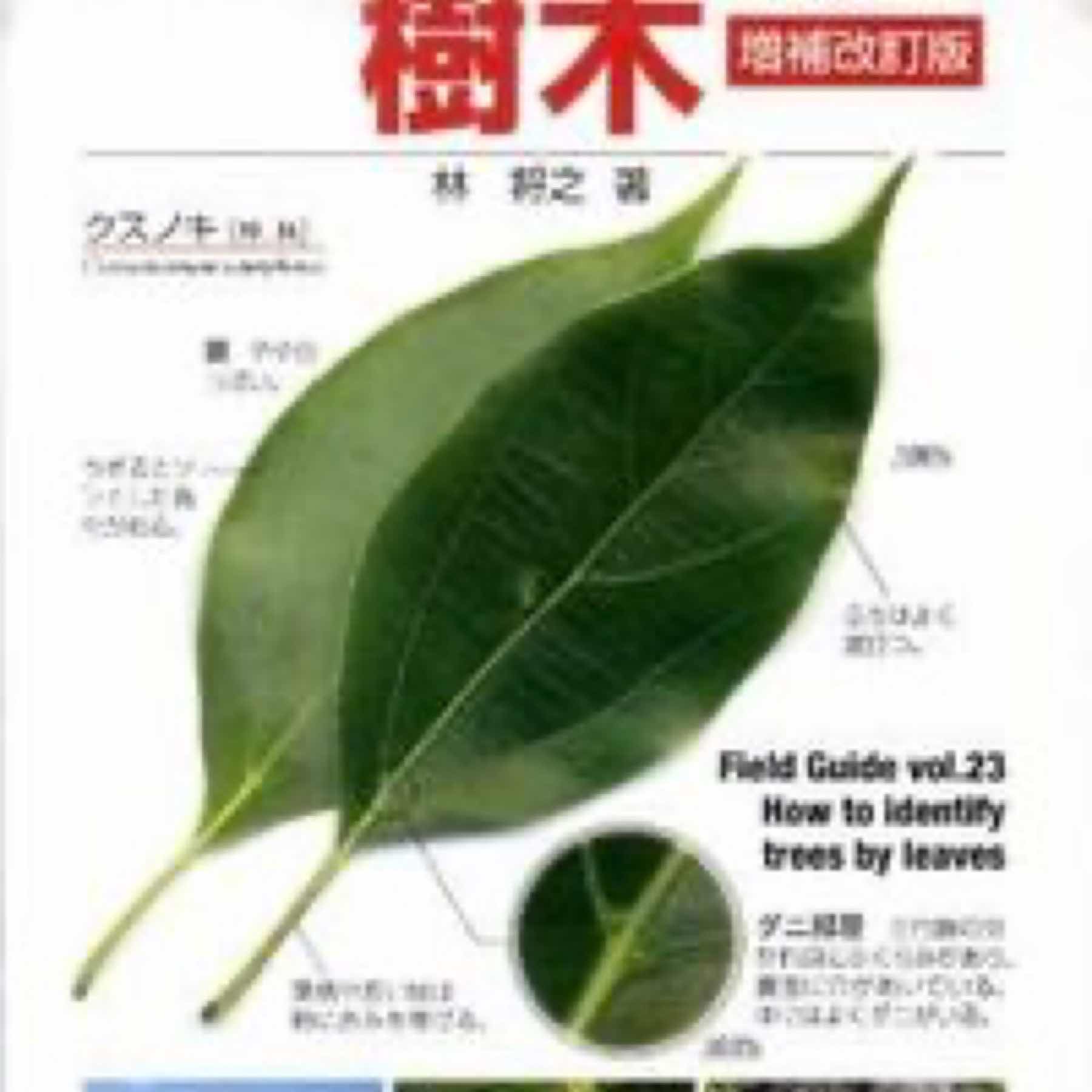 フィールド・ガイドシリーズ23  葉で見わける樹木 増補改訂版23