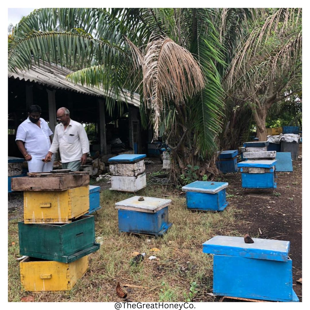 🐝  Meet the Beekeepers: Faces Behind the Hive