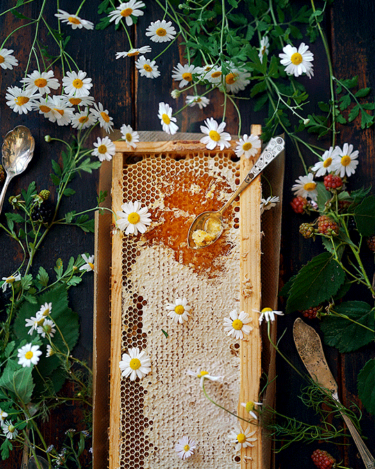 📝 The Science of Single-Origin Honey