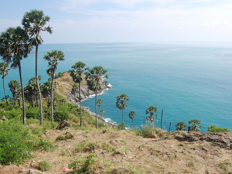 Phuket City Tour & Tiger