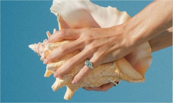 holding shell