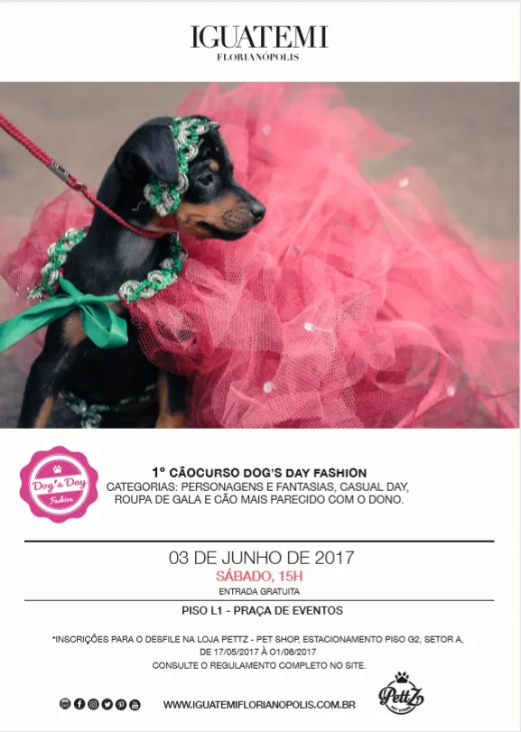 Pet Day - Floripa — imagem 17