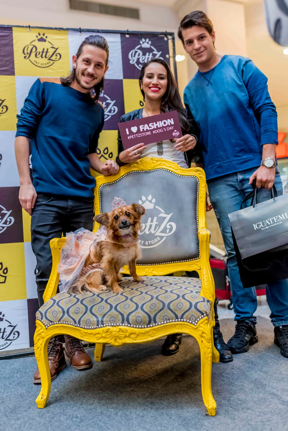 Pet Day - Floripa — imagem 16