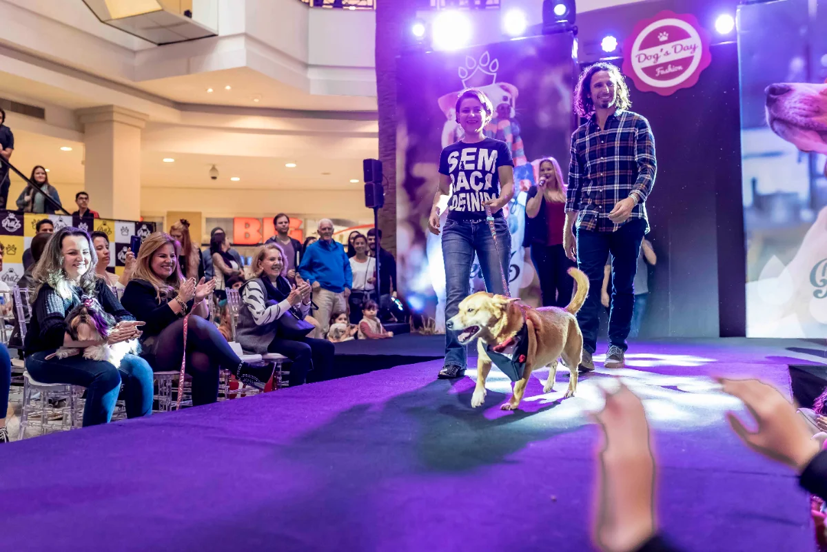 Pet Day - Floripa — imagem 9