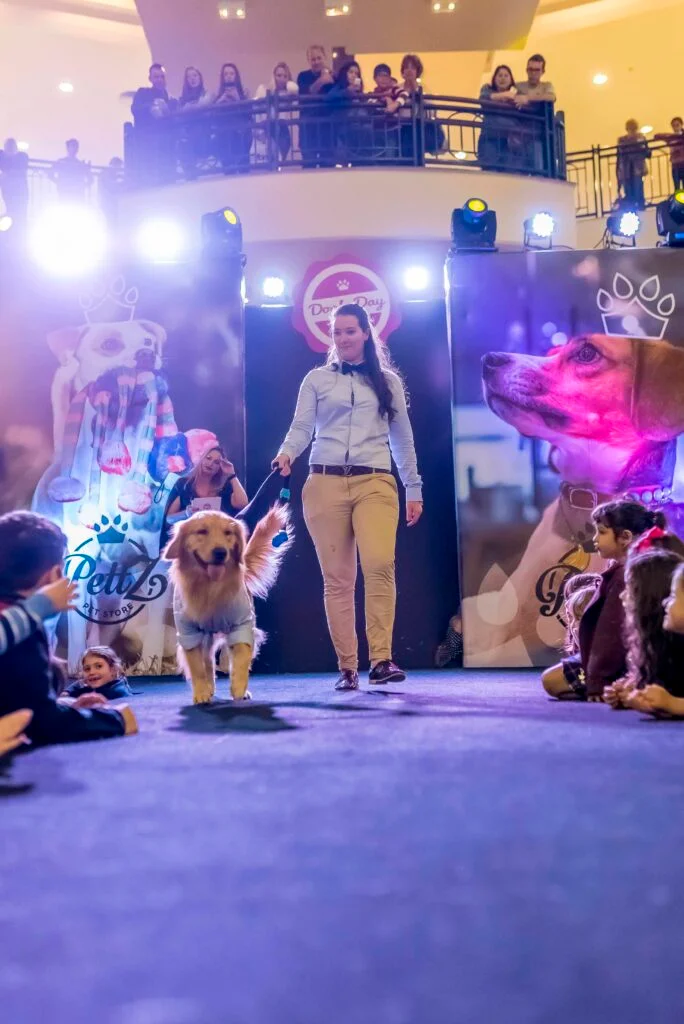 Pet Day - Floripa — imagem 5