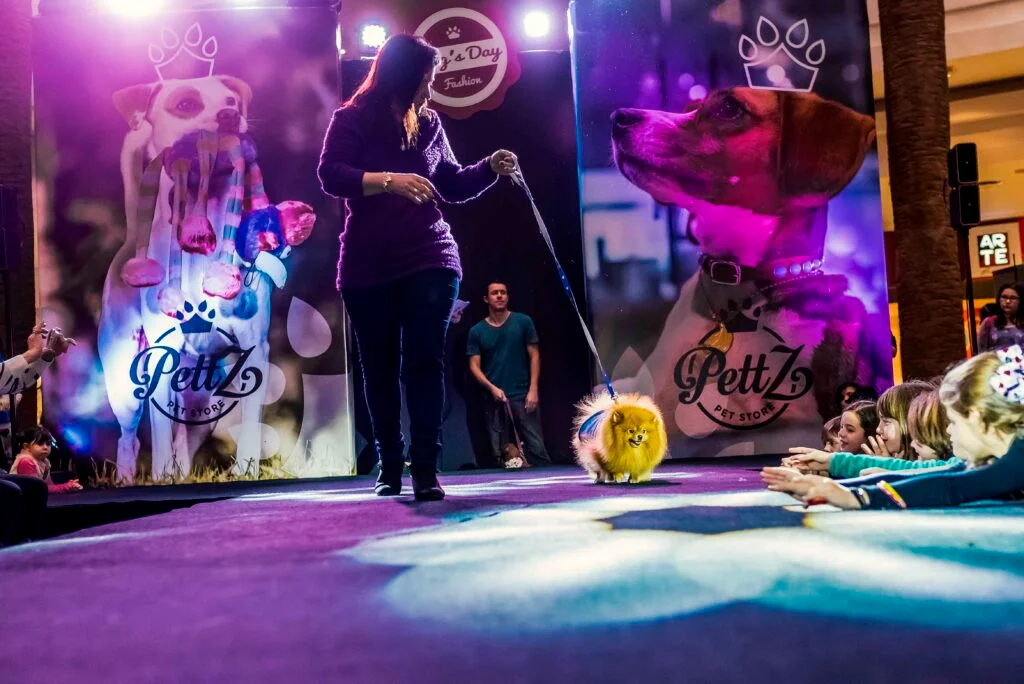 Pet Day - Floripa — imagem 3