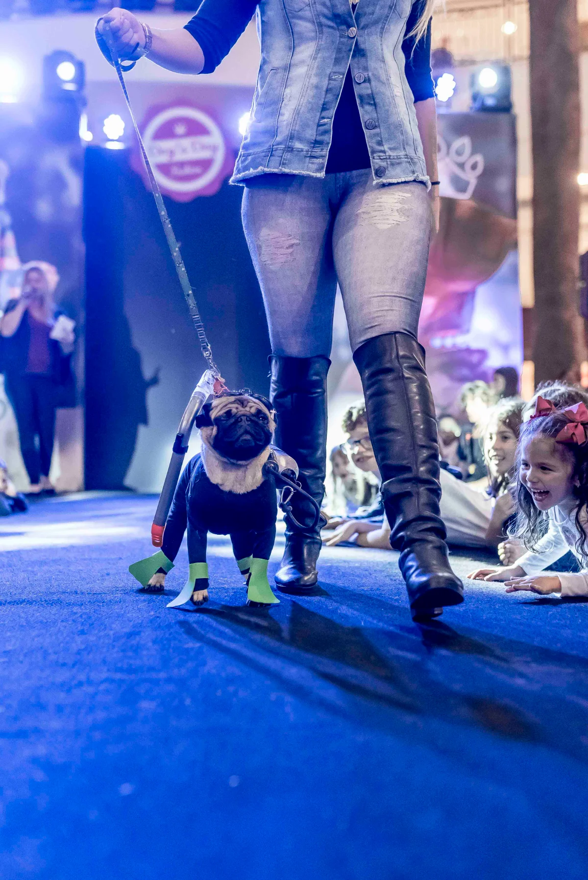 Pet Day - Floripa — imagem 7