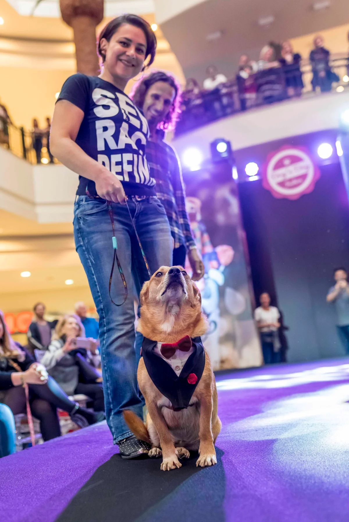 Pet Day - Floripa — imagem 8