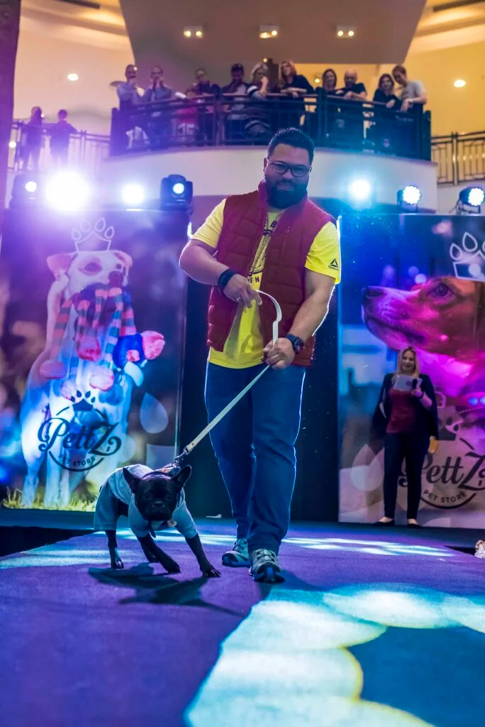 Pet Day - Floripa — imagem 1