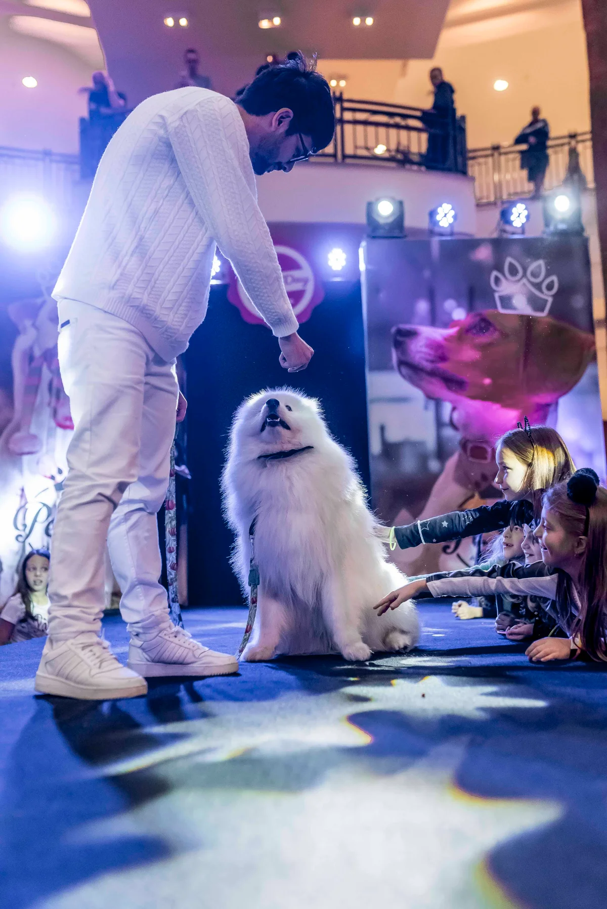 Pet Day - Floripa — imagem 6