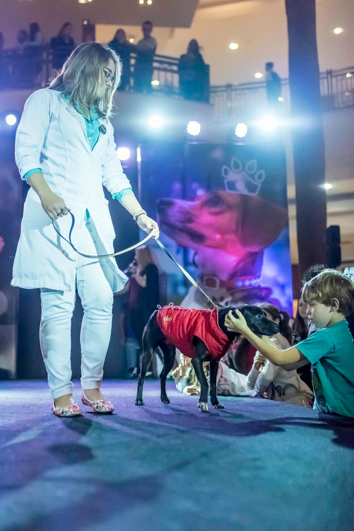 Pet Day - Floripa — imagem 4