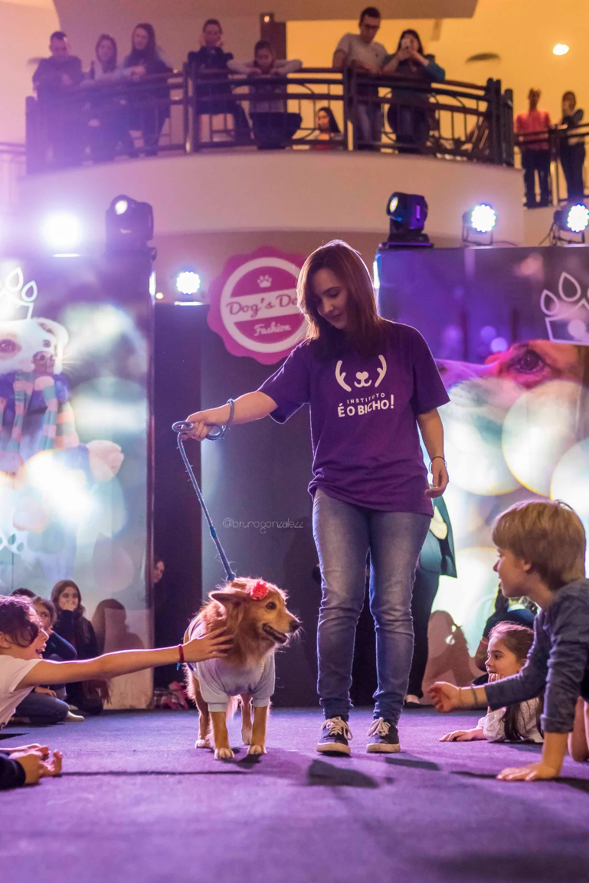 Pet Day - Floripa — imagem 10