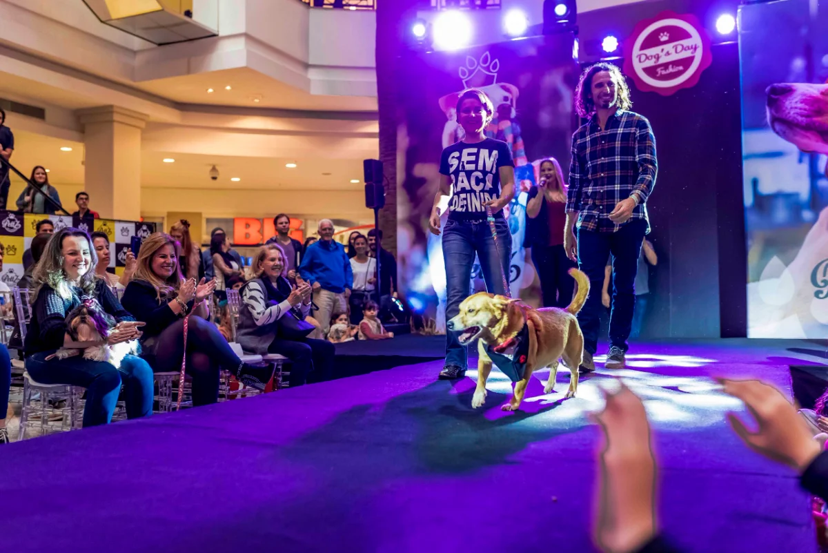 Pet Day - Floripa