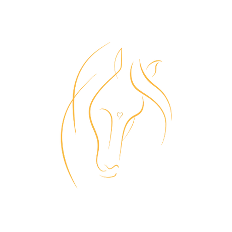 Equine Education Institute