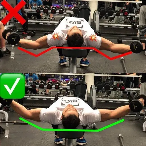 Dumbbell Chest Fly