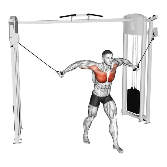 Standing Cable Fly