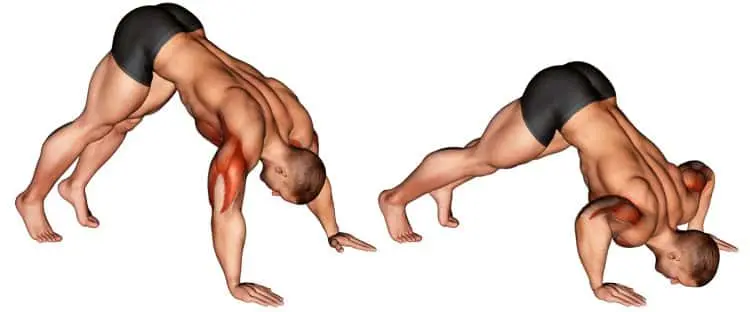 Pike Push-Up Image