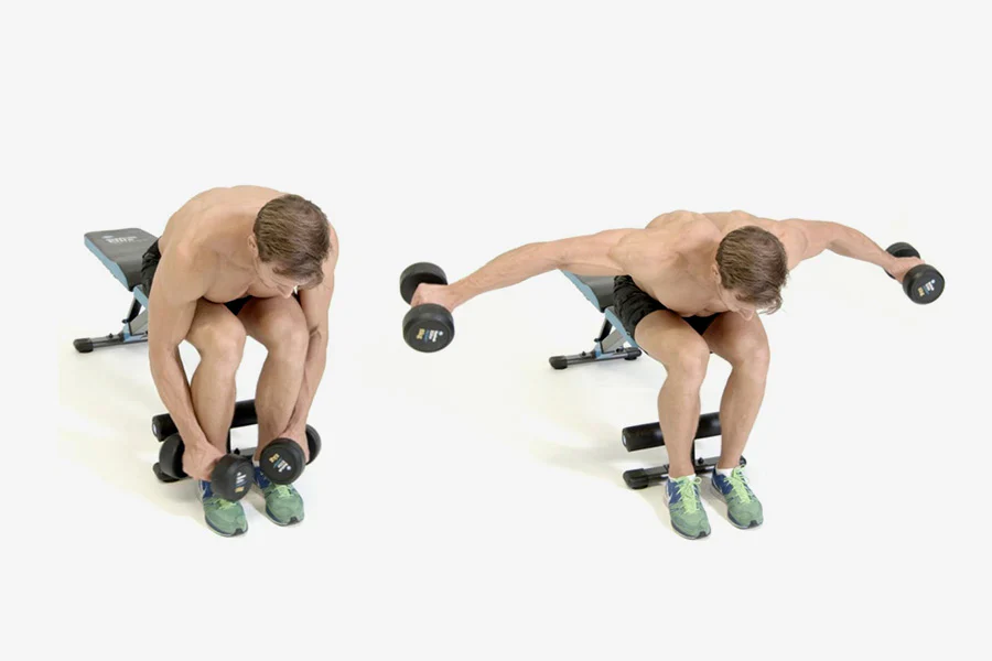 Rear Delt Fly - Reverse Fly Image