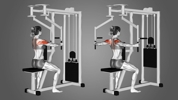 Reverse Pec Deck Machine Image