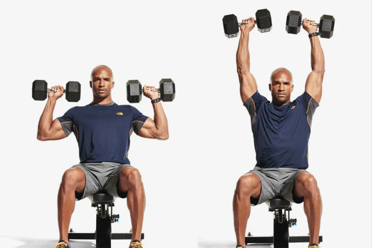 Seated Dumbbell Shoulder Press Image
