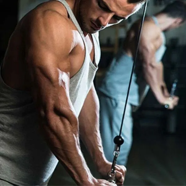 Triceps Exercise Guide for Beginners