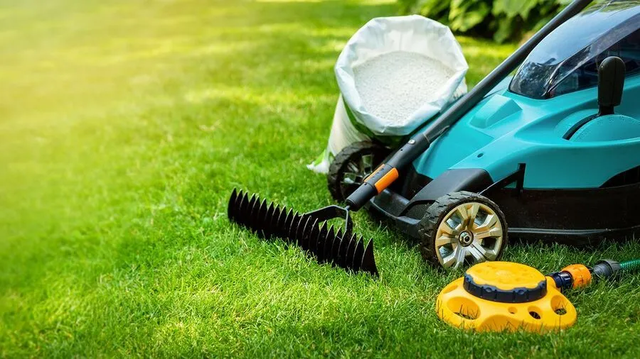 Best Electric Lawn Mower