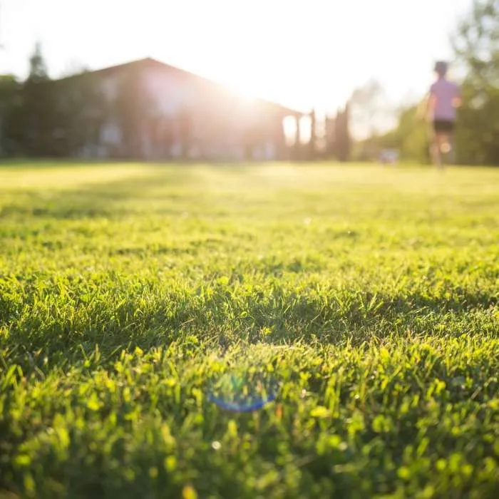 What Makes an Electric Lawn Mower a Smart Choice?