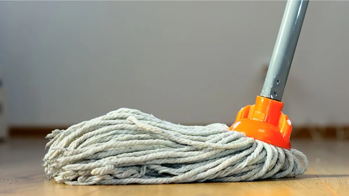 Mop Image