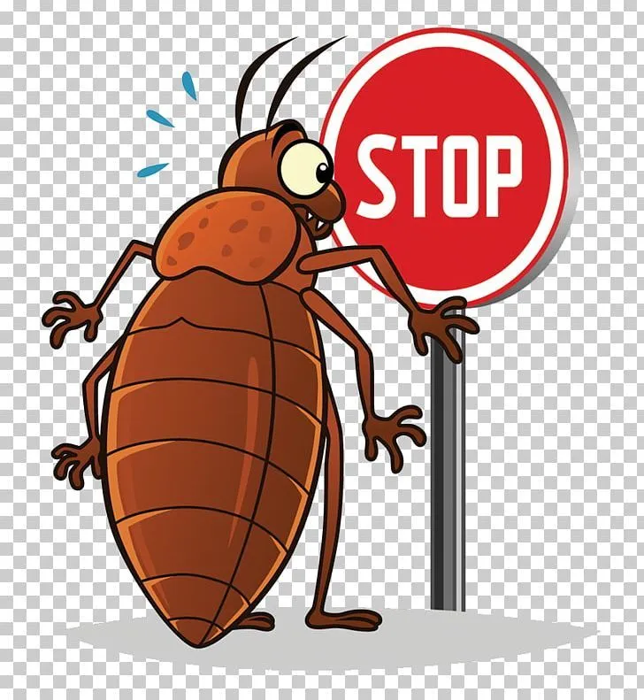 Roach image