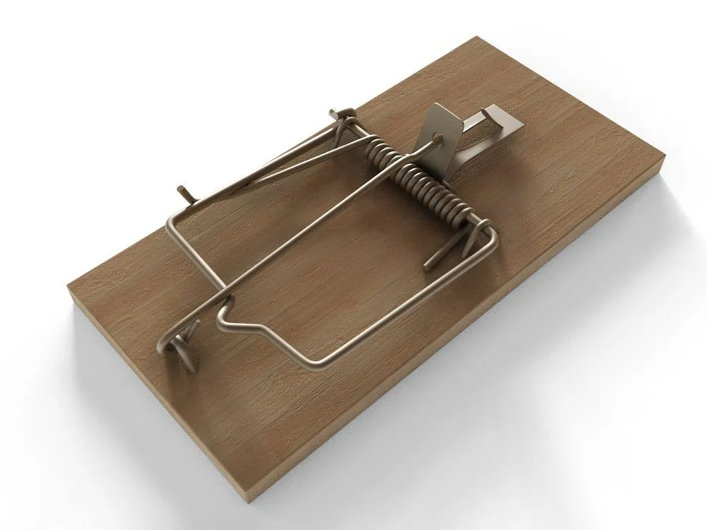 Best Bait for Mouse Trap