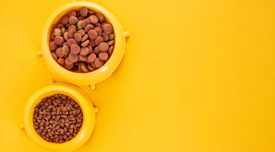 The Search for the Best Dog Food Is Harder Than It Should Be