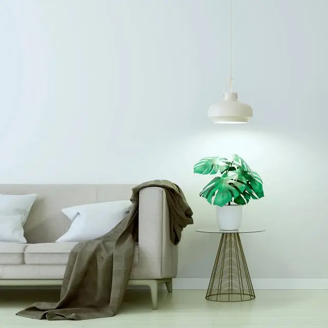 GE BR30 LED Grow Light Bulb