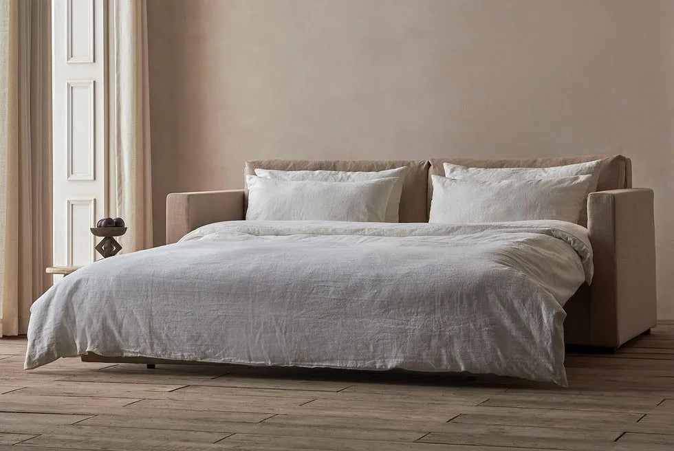 Sleeper Sofa Image
