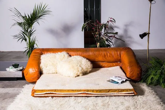 Sleeper Sofa Image