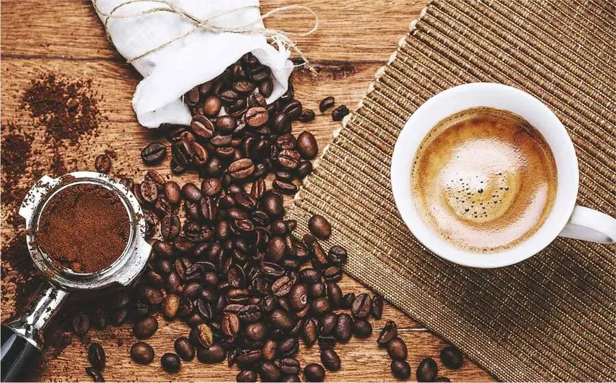 Your Daily Brew Deserves Better: Best Coffee Beans of 2025
