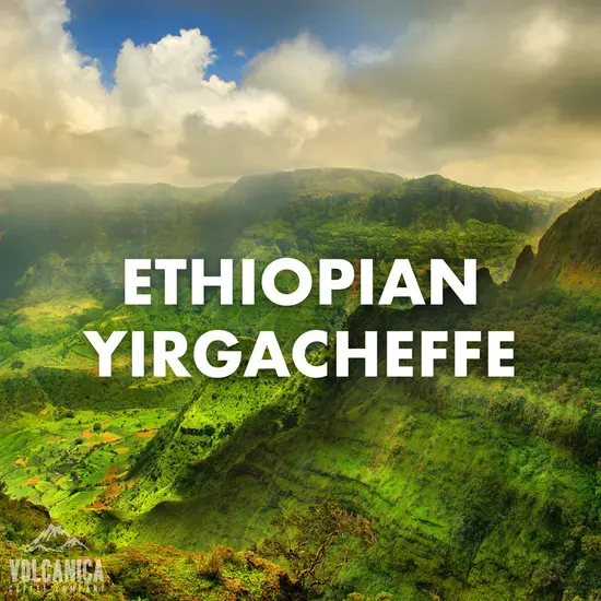 Ethiopian Yirgacheffe Coffee Bean