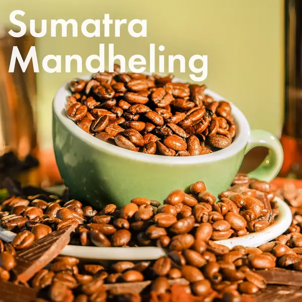 Sumatra Mandheling Coffee Bean