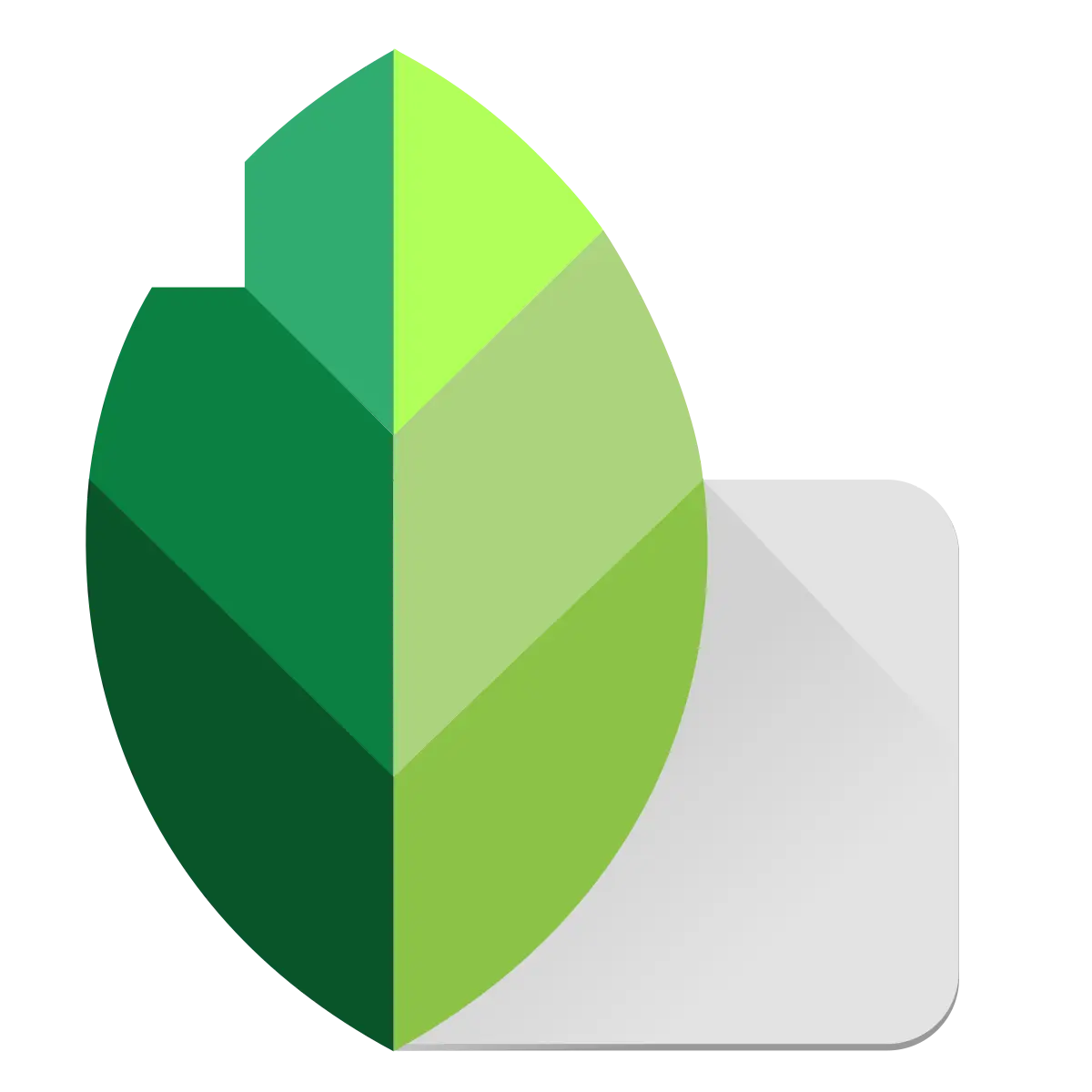 Snapseed App