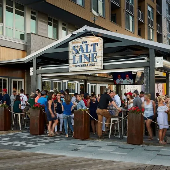 The Salt Line