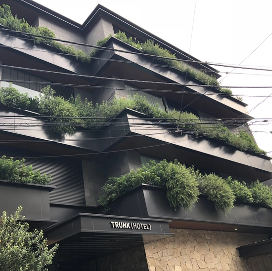 Trunk Hotel