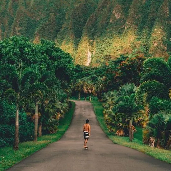 What to Know Before Planning Your Hawaiian Vacation